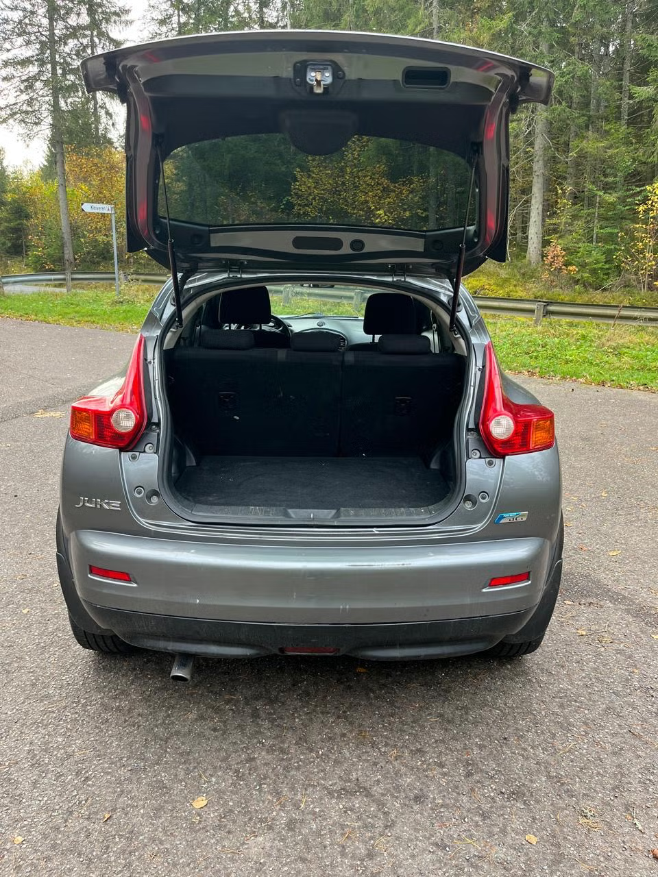 Nissan Juke 2011 12