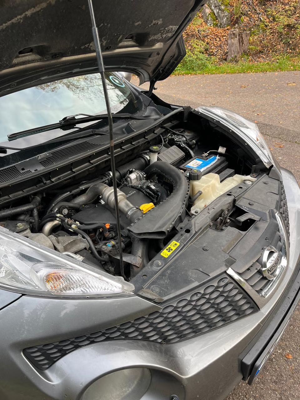 Nissan Juke 2011 13