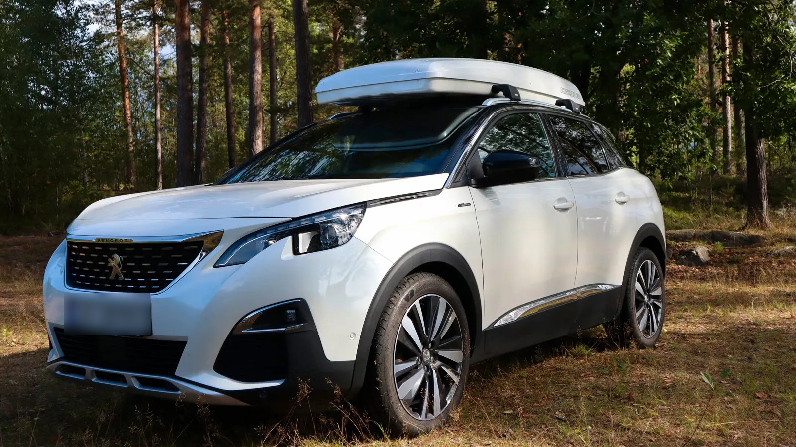 Peugeot 3008 2019 9