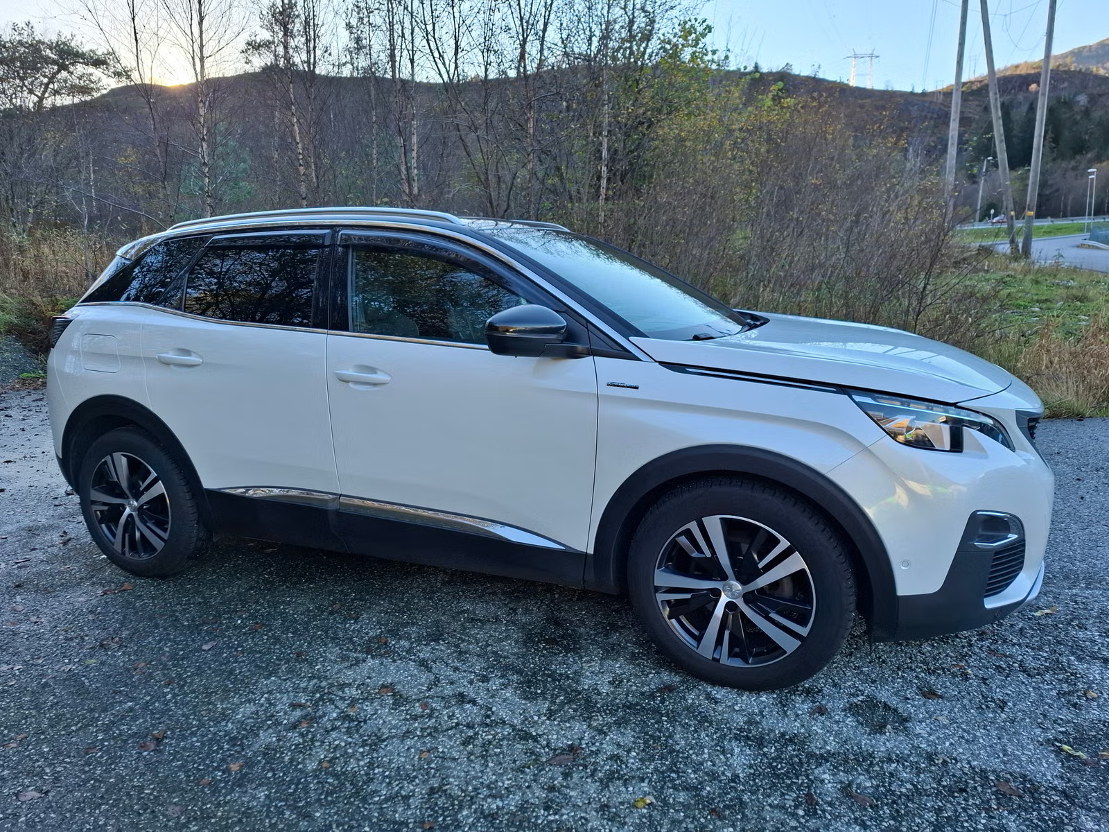Peugeot 3008 2017 5