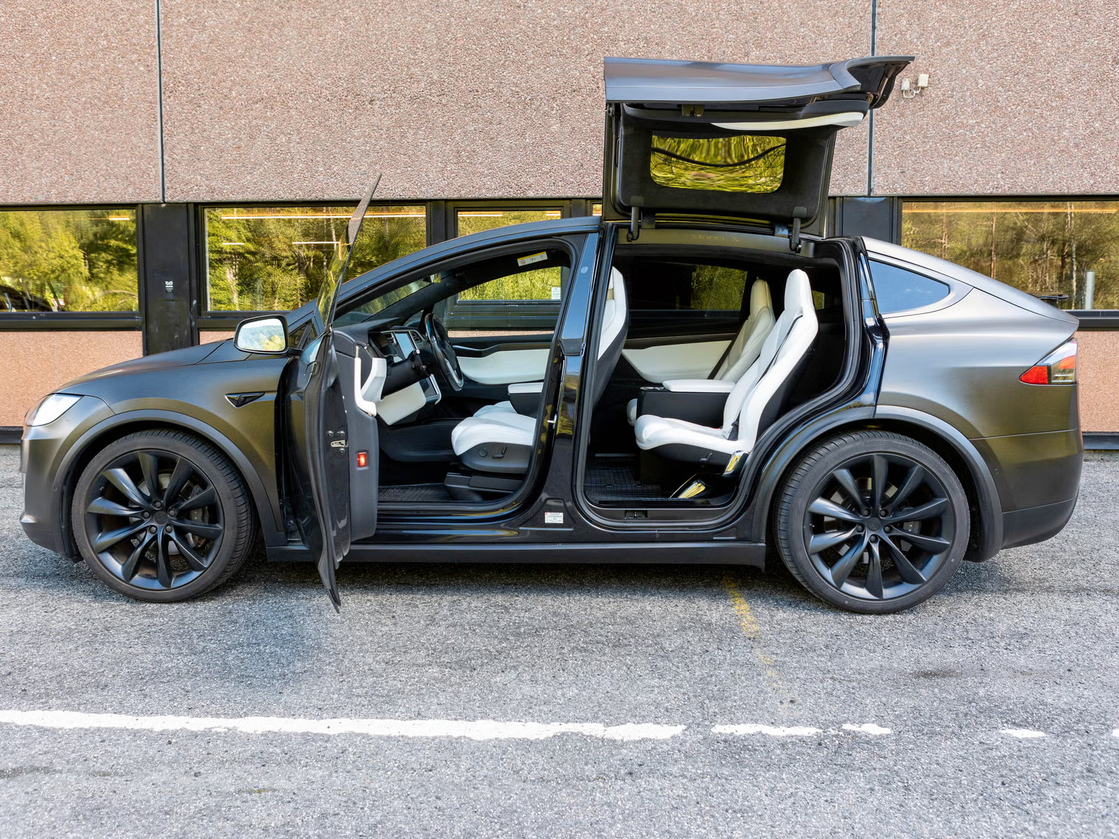 Tesla Model X 100D 2017 8