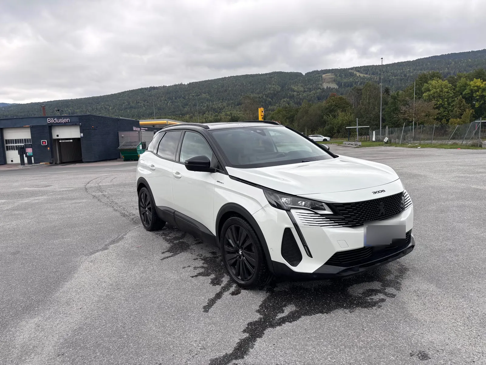 Peugeot 3008 2021 2