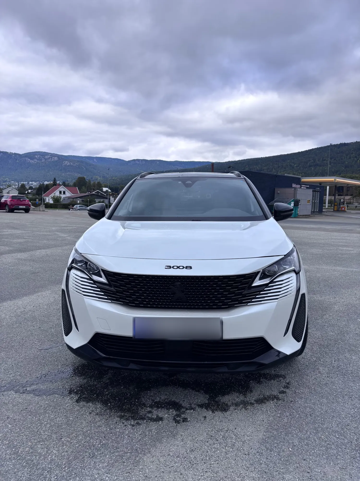 Peugeot 3008 2021 3