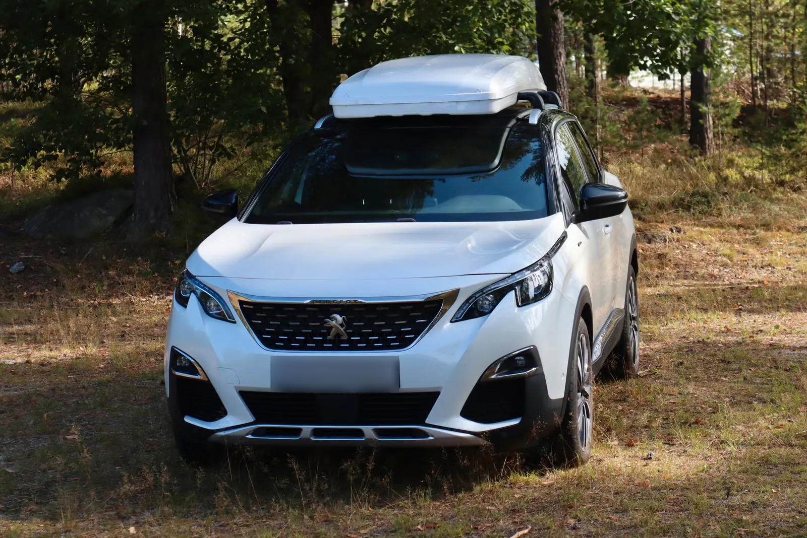 Peugeot 3008 2019 2