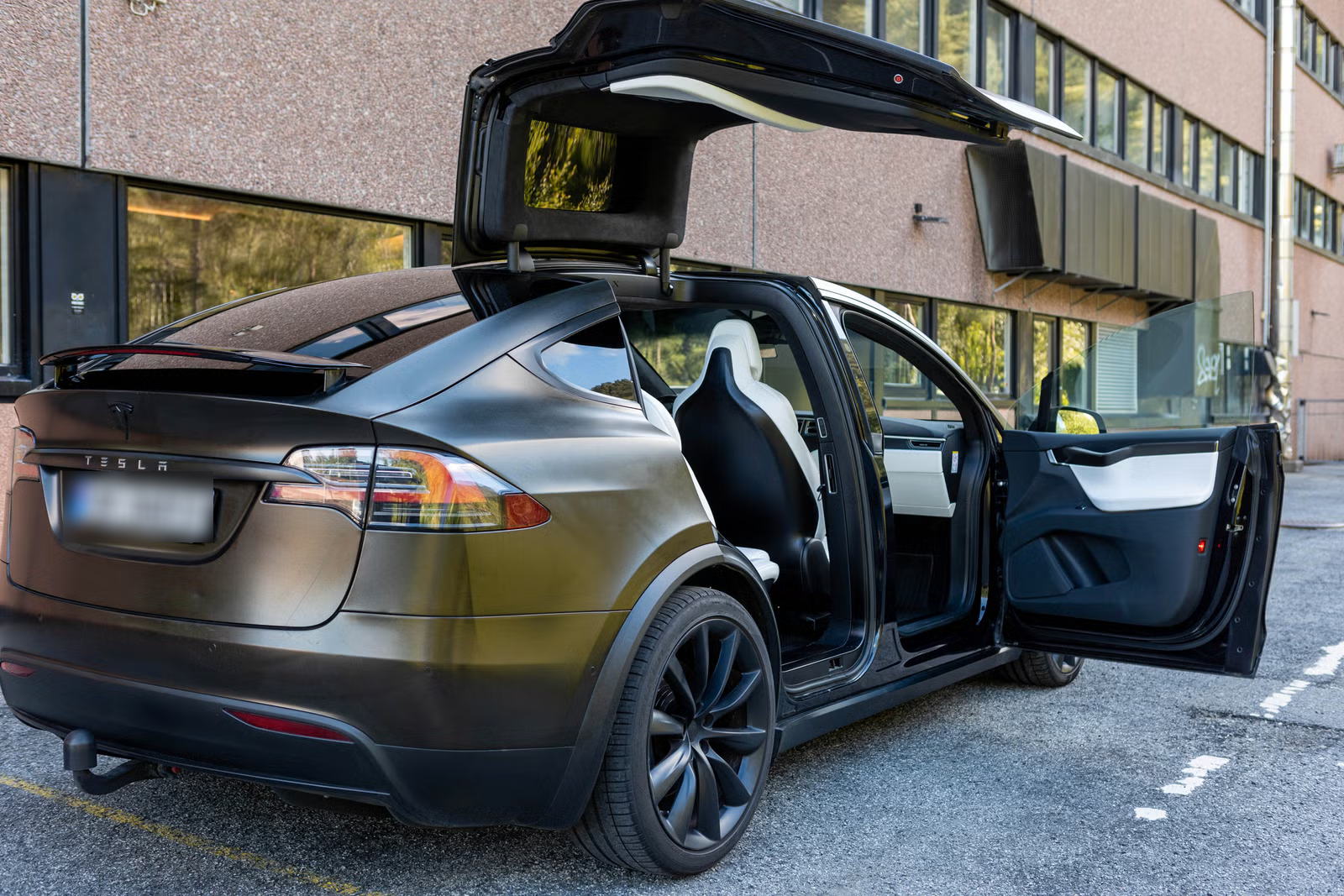 Tesla Model X 100D 2017 7