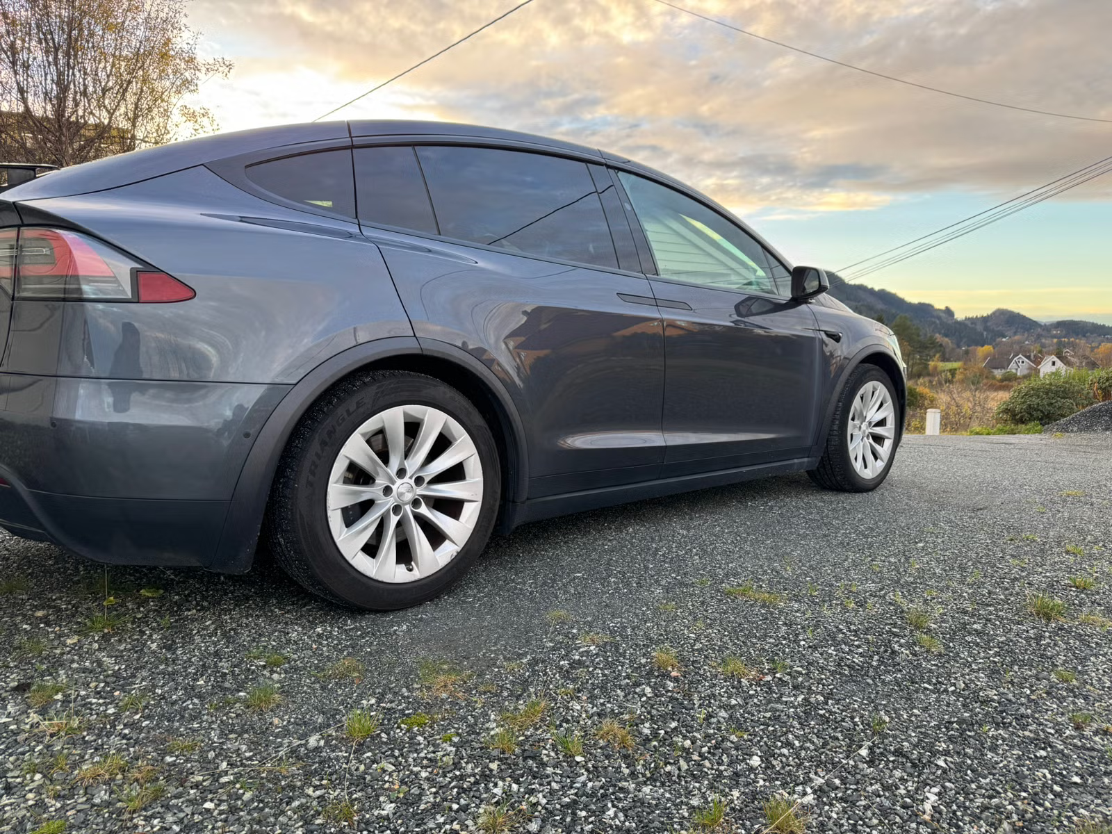 Tesla Model X 100D 2017 4