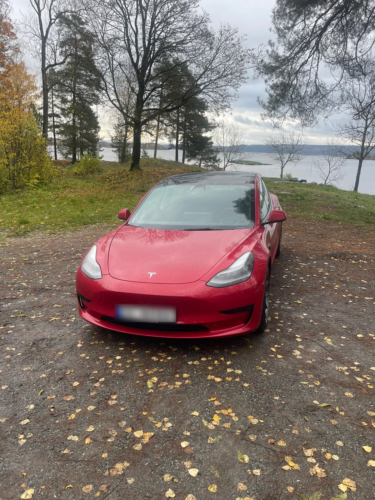 Tesla Model 3 Standard Range Plus 2021 2