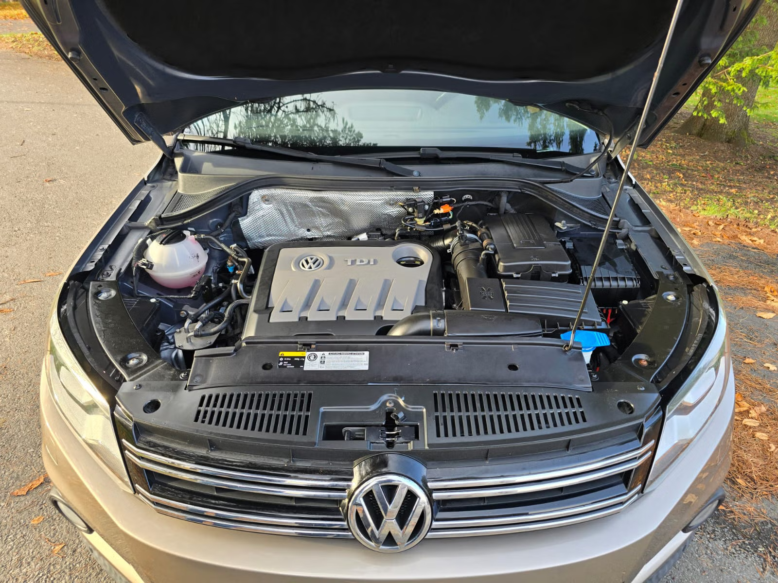 Volkswagen Tiguan 2015 18