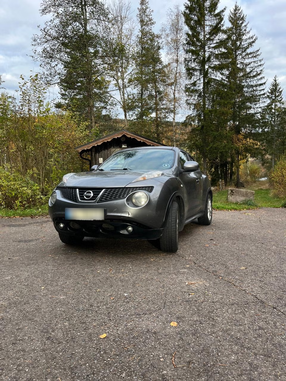 Nissan Juke 2011 1